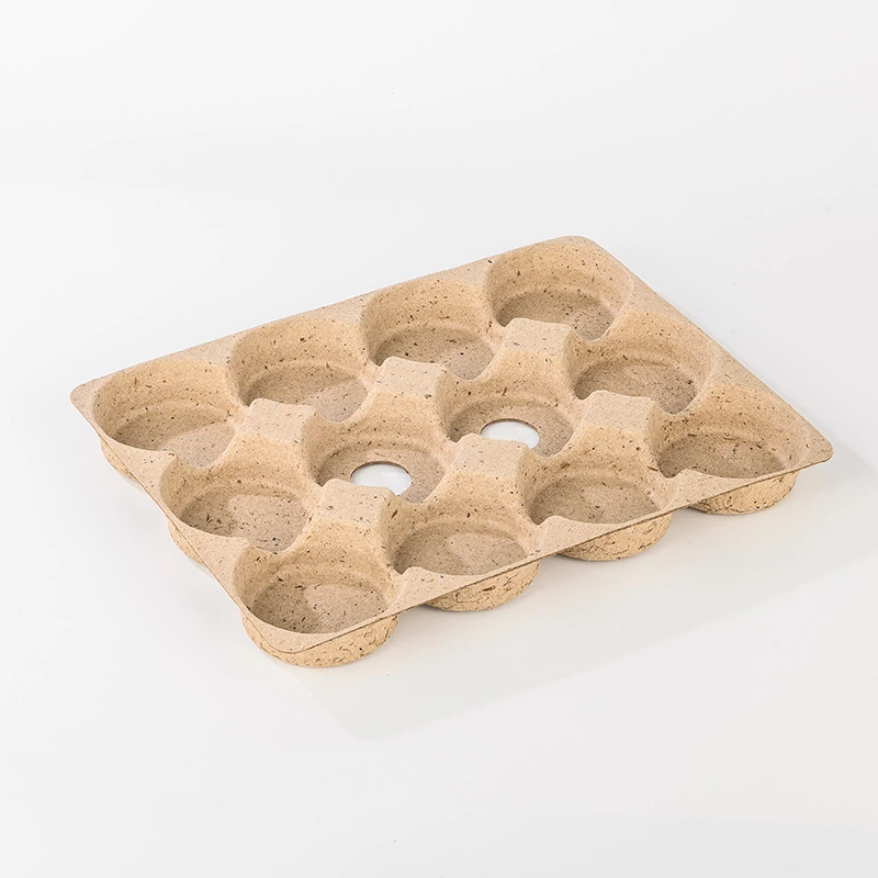 Caja de ampollas de papel para huevos